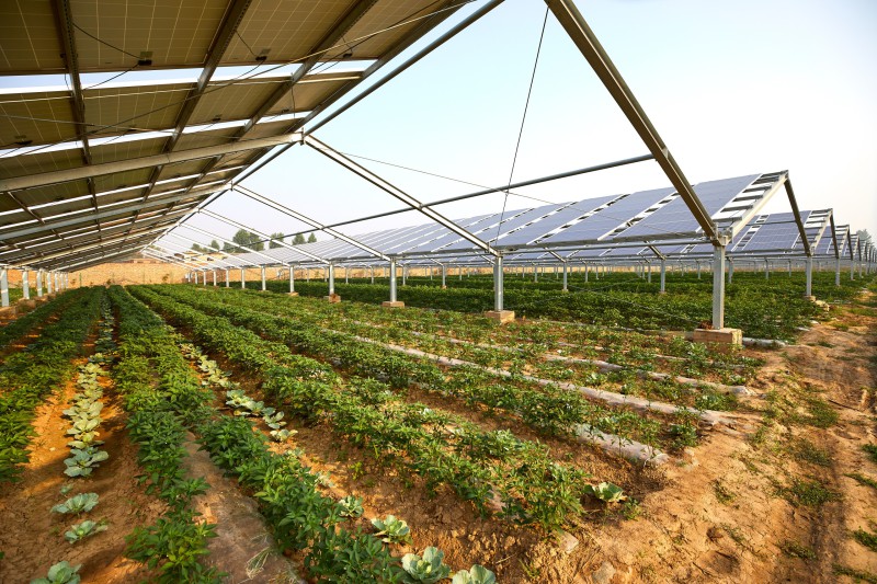 Gewächshäuser & Agri-PV